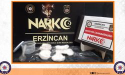 Erzincan Polisi 10 bin kullanımlık maddeyi Naz ile yakaladı...