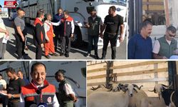 Erzincan’da 2.424 hayvan kontrolden geçti!