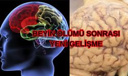 Erzincan’da beyin ölümü ile ilgili yeni gelişme