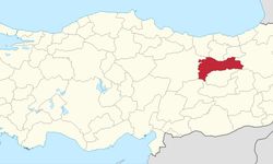 Erzincan'da hangi milletvekilleri gelip geçti?