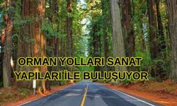 Erzincan’da orman yolları sanat yapıları ile buluşuyor