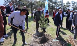 Üzümlü’de Fidan Dikim Etkinliği