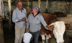 Gürcistanlı Nino, Erzincan tarımına renk katıyor…