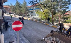 İlçeyi ihya etmek için dört koldan çalışıyorlar...