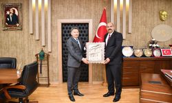 Kemaliye'nin su sorunları DSİ 9. Bölge'de...