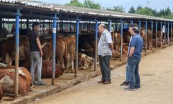 Erzincan'da Kurban Bayramı'nda kesim yerleri ve fiyatları...