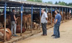 Erzincan’da kurban kesim yerleri belli oldu