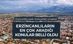 Erzincanlılar aradı, ErzincanNet cevapladı