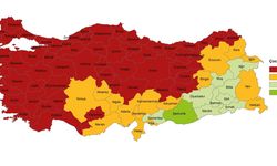 Erzincan'da 2024'de kaç çocuk dünyaya geldi? TÜİK açıkladı