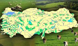 Türkiye'nin kaç ovası var? Erzincan Ovasının özelliği nedir?
