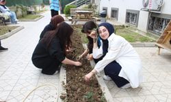Salih Baba Yurdu’nda minik bahçelerde büyük bilinç yetişiyor