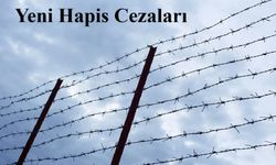 "AF" iddialarına Bakandan açıklama; yeni hapis cezaları geliyor