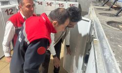 Uluköy’de  yılda 15 milyon yavru üretiliyor…