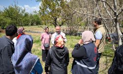 Erzincan'da zarar tespitinde sona yaklaşıldı...