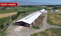 Erzincan’da hayvancılığın kalbi bu merkezde atacak...