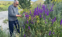 Binalı Yıldırım, “Can Erzincan” diyerek memleketine selam verdi