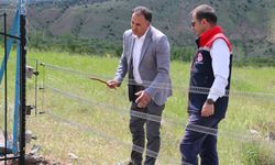 Erzincan'da yılan ve fare kovucu, domuz ve ayı çiti devrede...