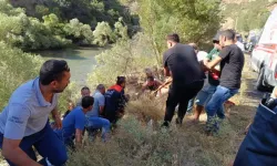 Erzincan sınırında feci kaza