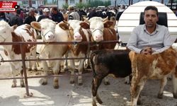 Erzincan Veteriner Hekimler Odası’ndan hayati uyarılar!