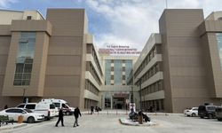 Erzincan halkı hormon dengesizliğinden şikayetçi! İşte nedenleri
