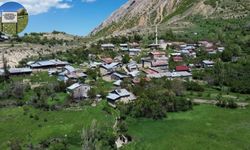 Erzincan’da bir tabela bin anlam