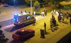 Erzincan’da bu kazadan şans eseri kurtuldular