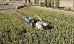 Erzincan’da tarıma yüksekten müdahale