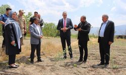 Erzincan’a yenilikçi adım: Goji Berry bahçesi kuruldu