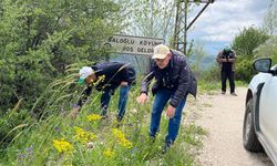 Erzincan'da binlercesi çıkmadan önlem alınıyor...