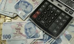 Erzincan'da vergi affı bekleyenler; Bakan açıkladı