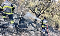 Erzincan’dan Hatay’a Destek Eli...