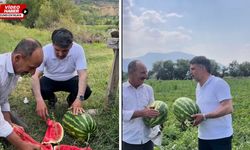 Erzincan'ın kan kırmızısı: Karpuz tarlasına başkan Kabadayı indi!