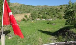 Erzincanlı Şakar’ın sıra dışı arazisi. İşte hikayesi…