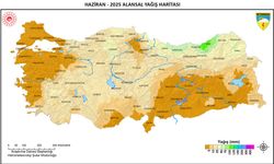 Erzincan haziran ayında yine yağışa hasret kaldı