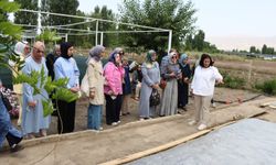 Erzincan'da yeni proje...yeni bir umut... yeni bir ürün..