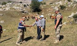 Vatandaş kaybetti, Erzincan Jandarması Gehmut Bölgesinde buldu...