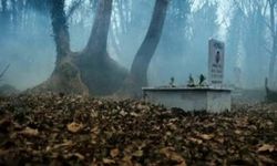 Türkiye'de Paranormal Olaylar Yaşanan Lanetli Yerler...