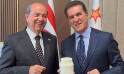 Erzincan Tulum Peynirine kardeş geldi....