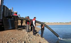 Erzincan'da binlercesi doğaya bırakıldı...