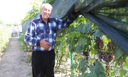 300 metrekarelik alanda 70 çeşit yetiştiriyor…