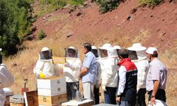 Erzincan Geven Balında İlk Hasat Sevinci