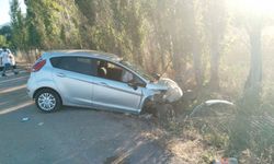 Erzincan’da otomobil yoldan çıktı: 2 yaralı
