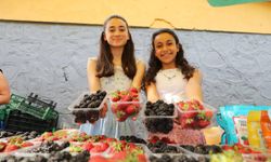 Erzincan'da çilek ve böğürtlen festivali renkli görüntülere sahne oldu...