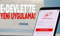 e-Devlet'e dört yeni özellik geldi! Artık bu bilgilere de ulaşılıyor