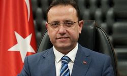 Bakan Yardımcısı açıkladı: Erzincan'ın 3 köyünde başlıyor...