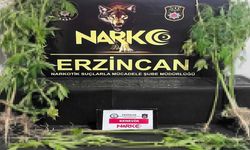 Erzincan’da zehire geçit yok