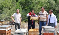 Erzincan'da tescil yolda; hasat başladı...
