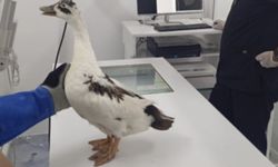 "Var olasın Esma.  İyi ki bu şehirde senin gibi düşünen gençler var."