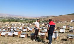 Erzincan’da 1200 kovanıyla üretime destek sağlıyor..