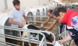 Erzincan’da ekipler teyakkuza geçirildi